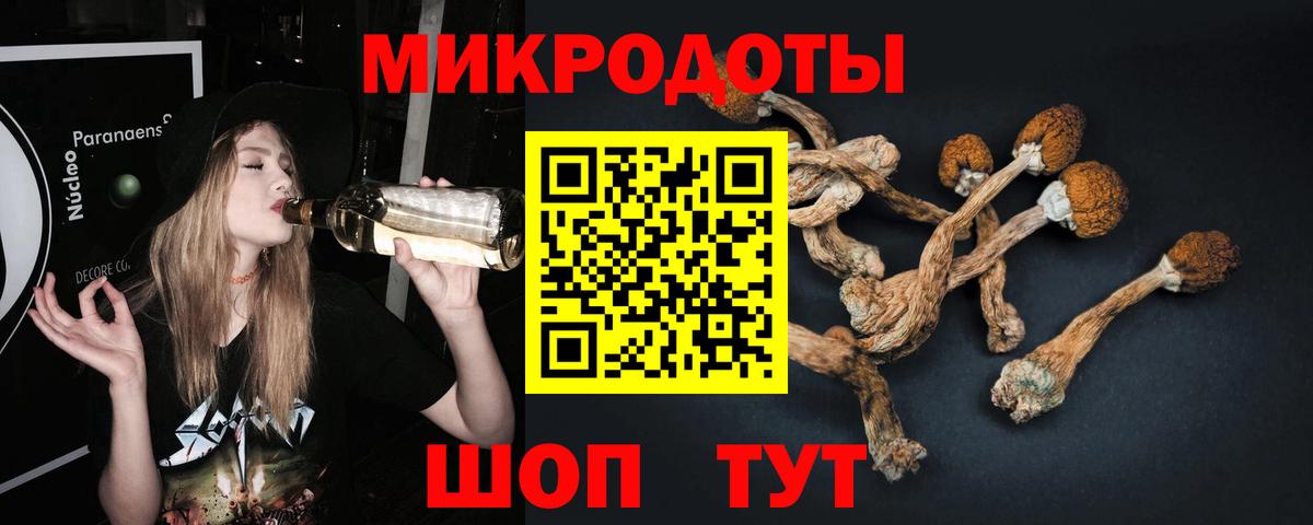 Псилоцибиновые грибы Psilocybe  Галлюциногенные грибы мицелий  Вход с VPN  Каспийск 